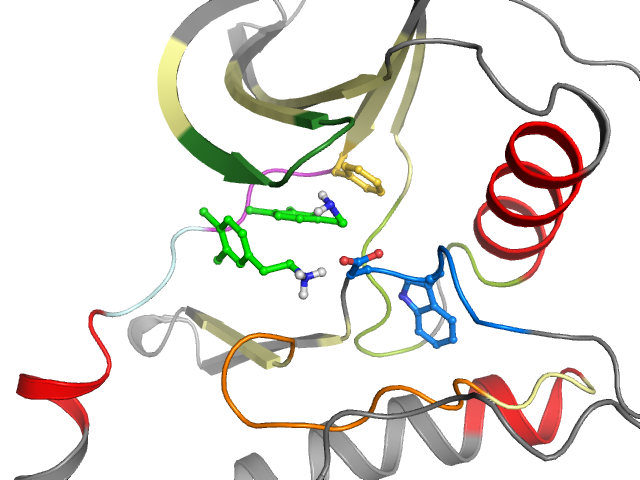 The orthosteric binding pocket