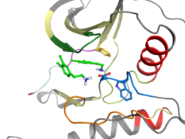 The orthosteric binding pocket