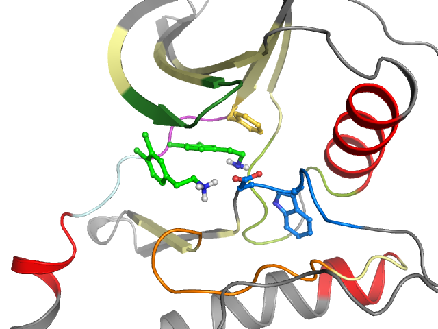 The orthosteric binding pocket
