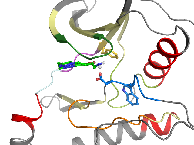 The orthosteric binding pocket