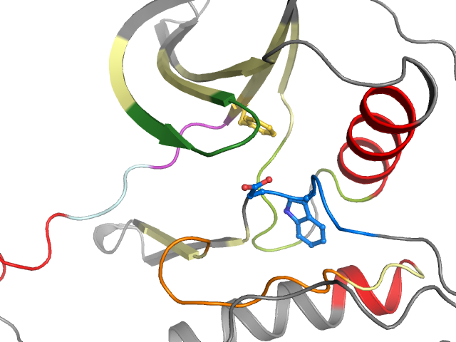 The orthosteric binding pocket