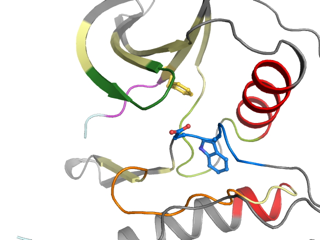 The orthosteric binding pocket
