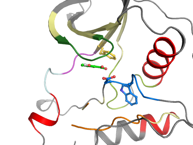 The orthosteric binding pocket