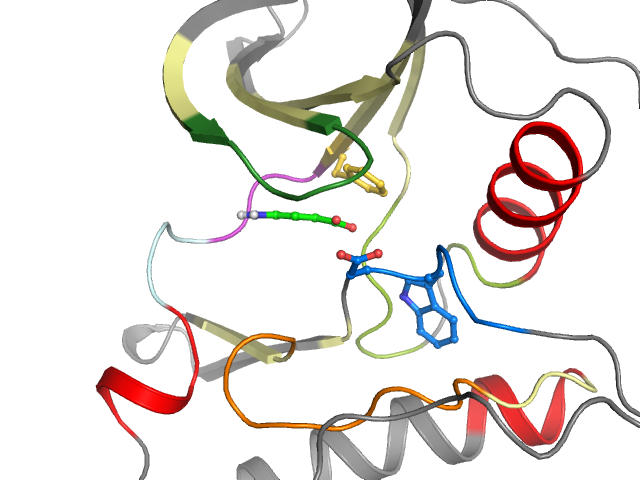 The orthosteric binding pocket