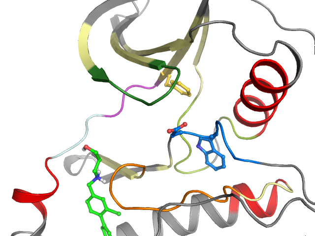 The orthosteric binding pocket