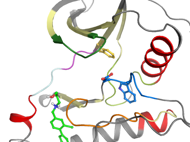 The orthosteric binding pocket