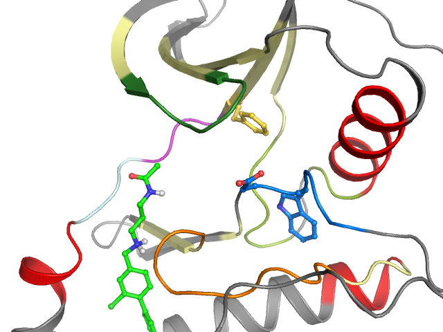 The orthosteric binding pocket