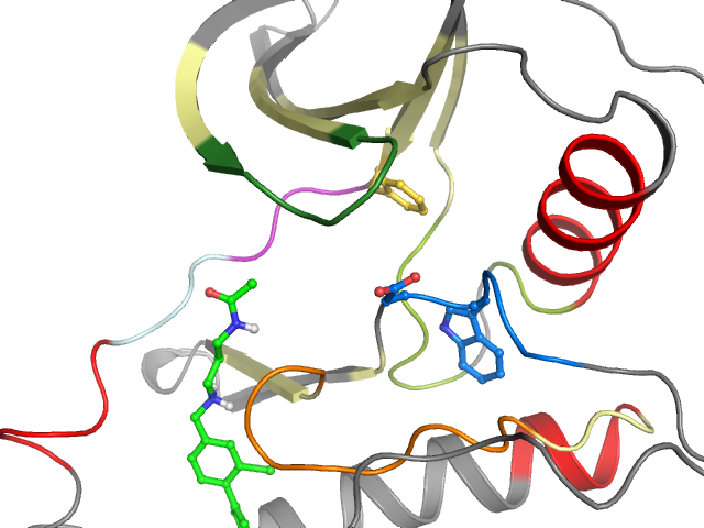 The orthosteric binding pocket