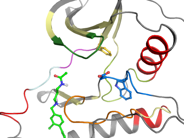The orthosteric binding pocket