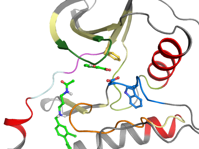 The orthosteric binding pocket