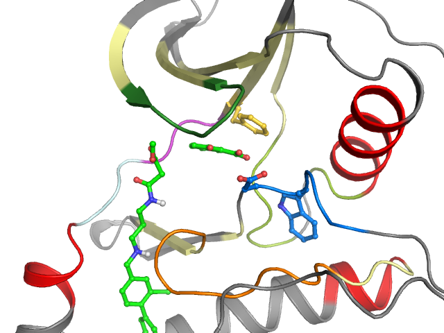 The orthosteric binding pocket