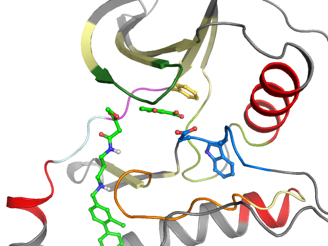The orthosteric binding pocket