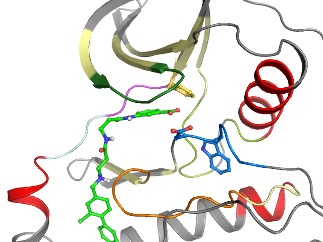 The orthosteric binding pocket