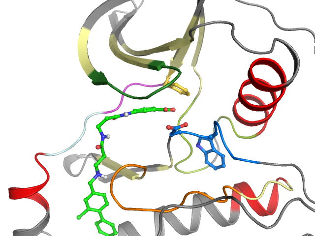 The orthosteric binding pocket
