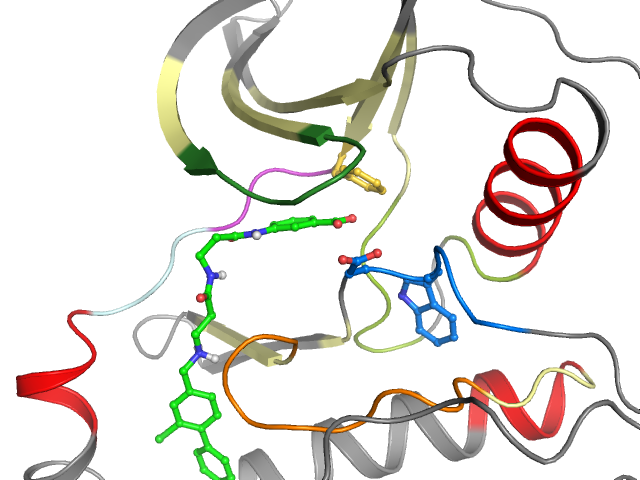 The orthosteric binding pocket