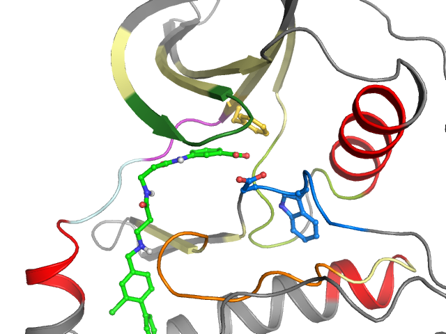 The orthosteric binding pocket