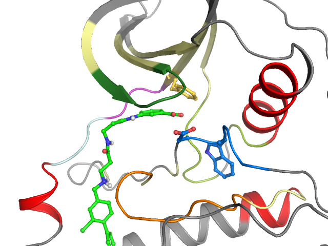 The orthosteric binding pocket