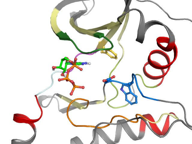 The orthosteric binding pocket