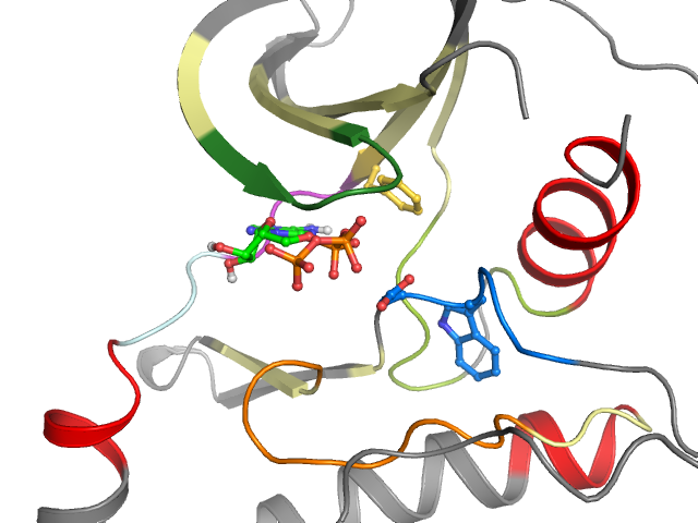 The orthosteric binding pocket