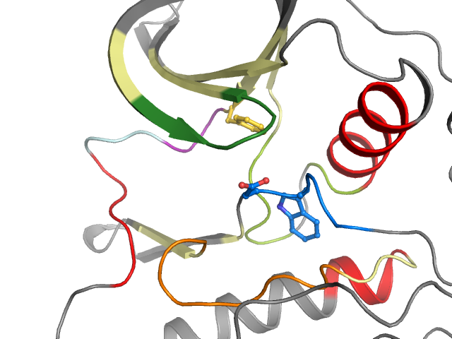 The orthosteric binding pocket