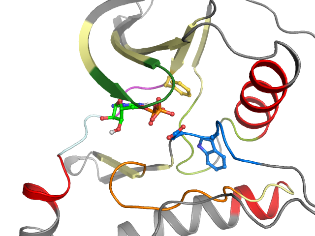 The orthosteric binding pocket