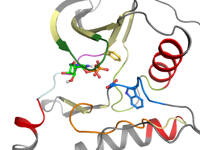 The orthosteric binding pocket