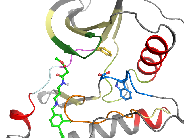 The orthosteric binding pocket
