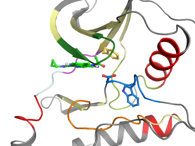 The orthosteric binding pocket