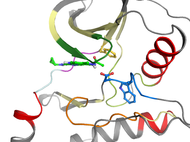 The orthosteric binding pocket