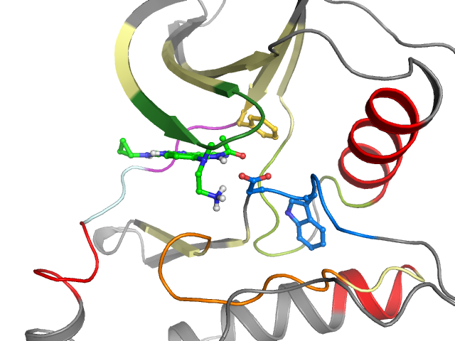 The orthosteric binding pocket