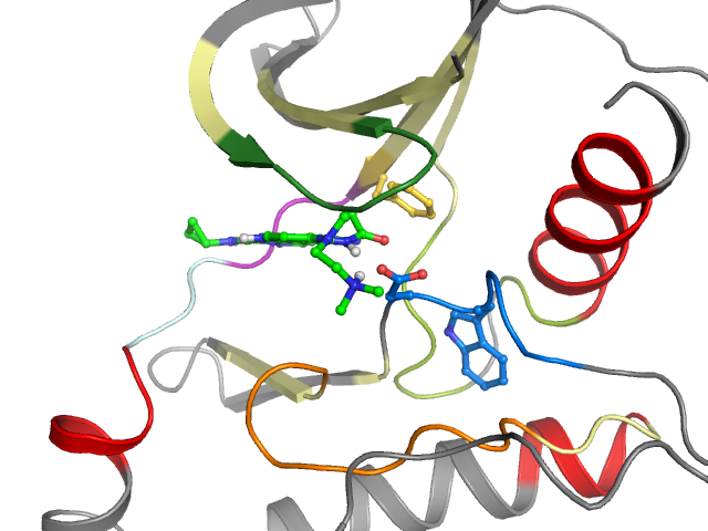 The orthosteric binding pocket