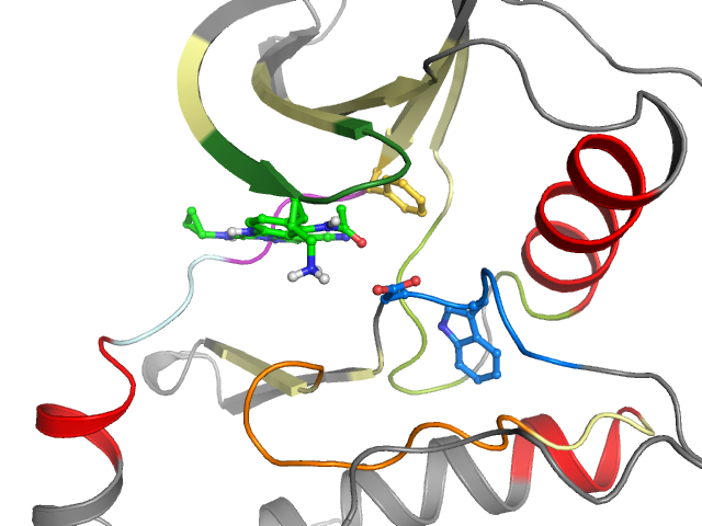 The orthosteric binding pocket