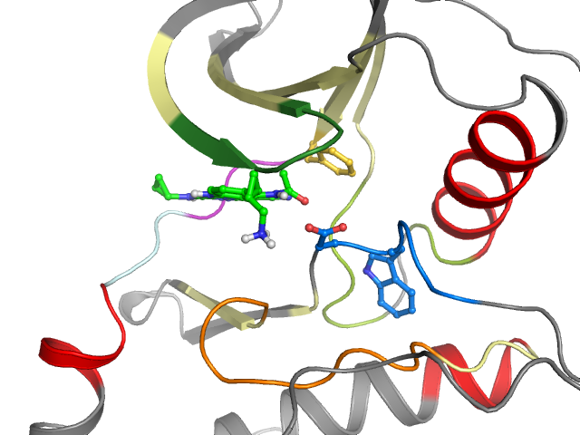 The orthosteric binding pocket