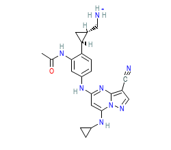 2D structure of the orthosteric ligand