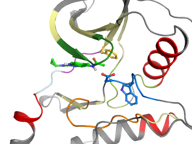 The orthosteric binding pocket