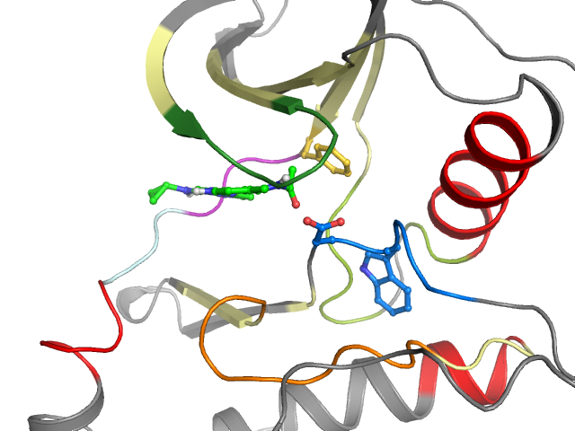 The orthosteric binding pocket