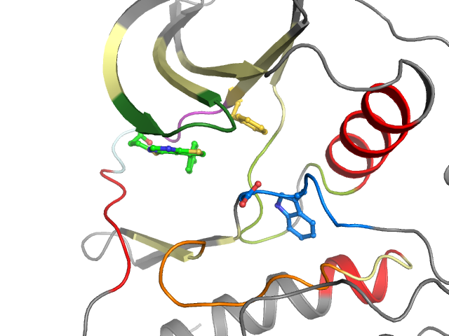The orthosteric binding pocket