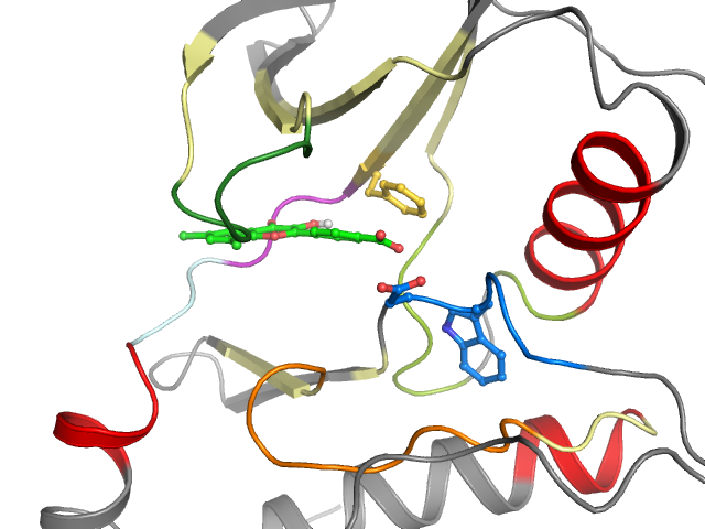The orthosteric binding pocket