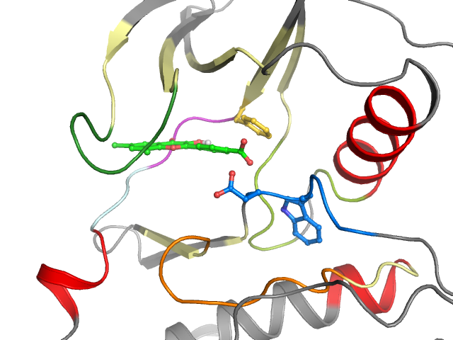 The orthosteric binding pocket