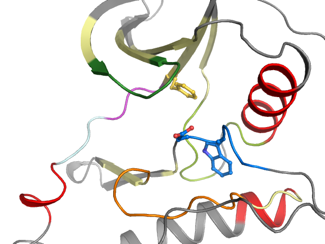 The orthosteric binding pocket