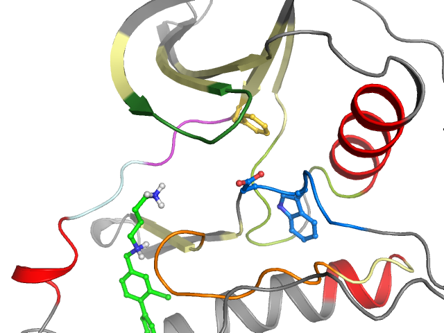 The orthosteric binding pocket