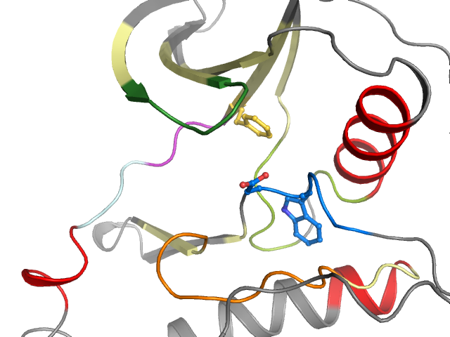 The orthosteric binding pocket