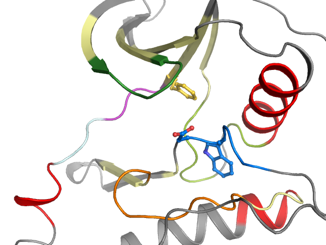 The orthosteric binding pocket