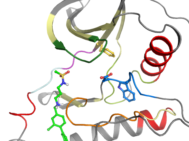 The orthosteric binding pocket
