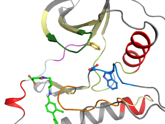 The orthosteric binding pocket
