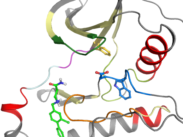The orthosteric binding pocket