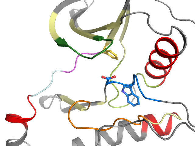 The orthosteric binding pocket