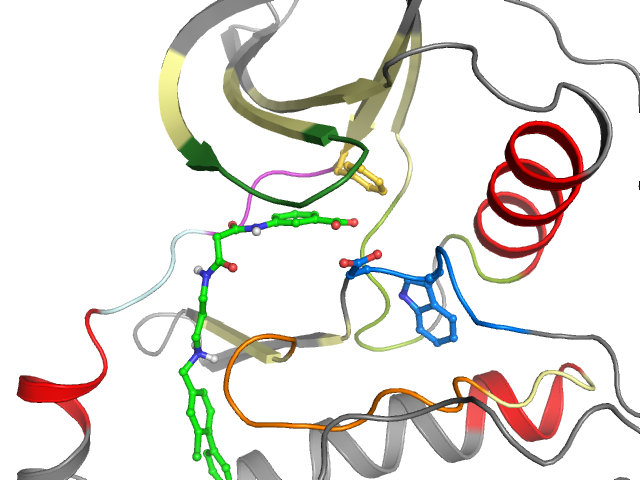The orthosteric binding pocket