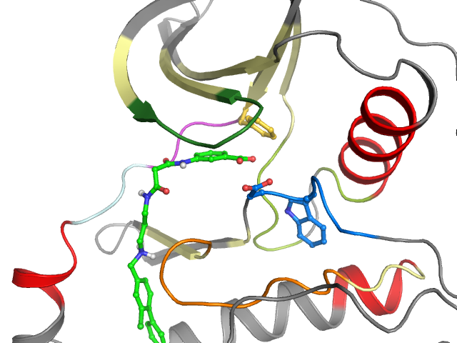 The orthosteric binding pocket