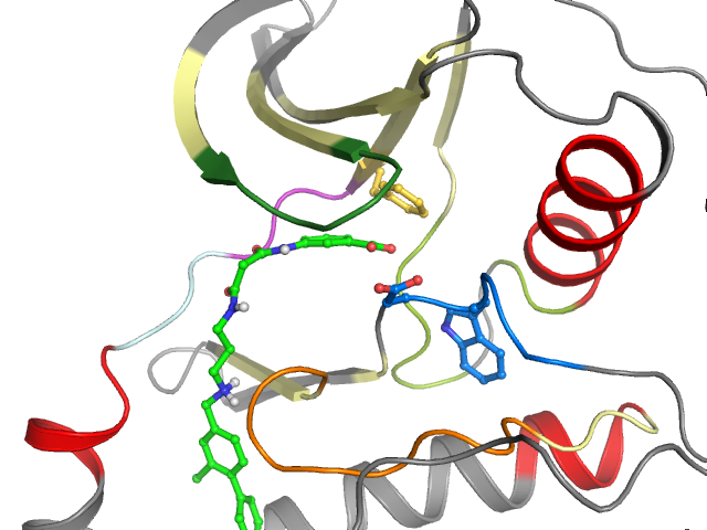 The orthosteric binding pocket
